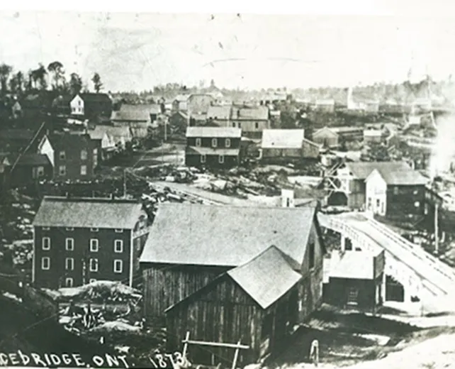 historical photo of bracebridge from 1873