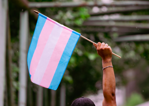 Person holding up a transgender flag - Blue, pink and white