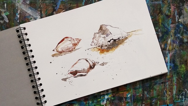 sea shells, watercolor, sketchbook, art, painting, sketchbook, sketchbook, sketchbook, sketchbook, sketchbook